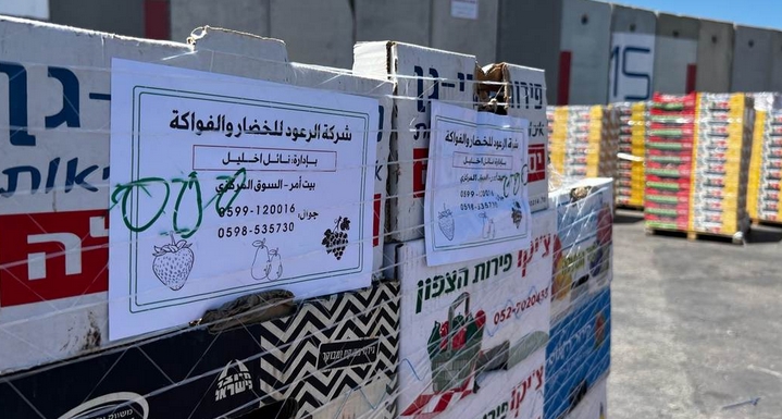 Pallets of Gaza aid