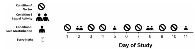 Sleep study chart